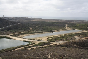The collection basins at the bottom of the Tijuana River are currently mostly clear of debris, but after major storm events they fill up with trash and sediment washing down from upstream urban areas, and must be cleared periodically by TRNERR.