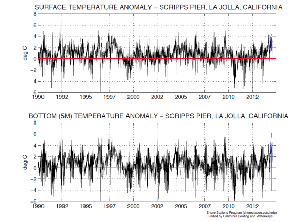 Daily surface and bottom temperature anomaly from the Scripps Pier Manual Shore Station, La Jolla, California.  Anomalies are produced by subtracting the long-term harmonic mean (1916-2001) from the daily temperature (a positive anomaly indicates that temperatures are warmer than average). Temperature data from June 1 to August 5, 2014 (shown in blue) are preliminary and unverified (graphs produced by Melissa Carter of the Shore Stations Program). 